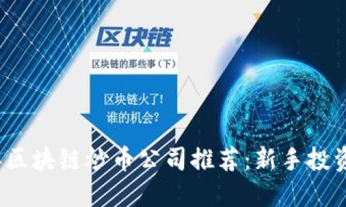 2023年区块链炒币公司推荐：新手投资者必看