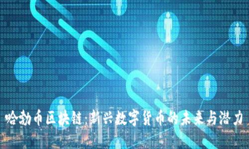 哈勃币区块链：新兴数字货币的未来与潜力