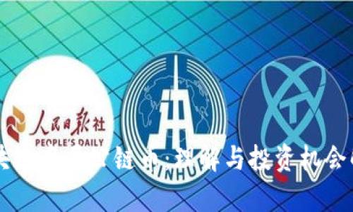 区块链底层公链币：理解与投资机会解析