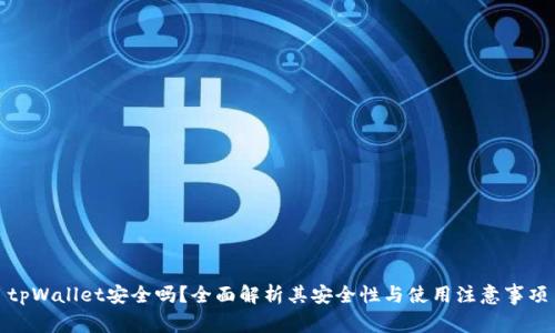 tpWallet安全吗？全面解析其安全性与使用注意事项
