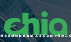比特币区块链技术解析：其背后的核心原理与应