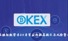 区块链数字币DX币背后的骗局揭示与风险警示