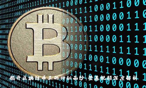 揭开区块链币王的神秘面纱：登基视频深度解析
