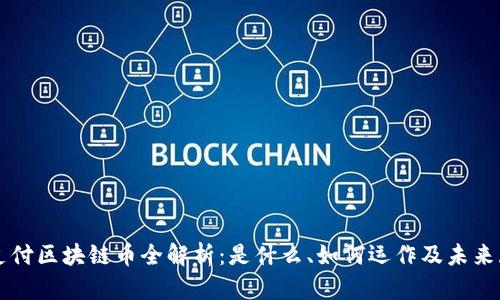 闪支付区块链币全解析：是什么、如何运作及未来展望