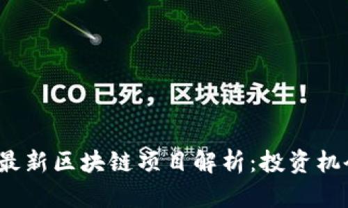 2023年国内最新区块链项目解析：投资机会与市场前景