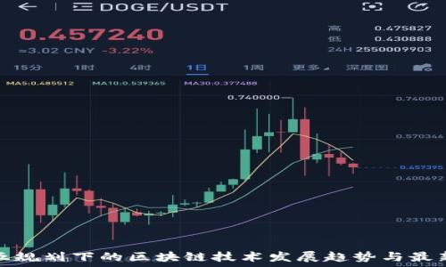   
十四五规划下的区块链技术发展趋势与最新动态
