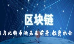 区块链与比特币的未来前景：投资机会与风险