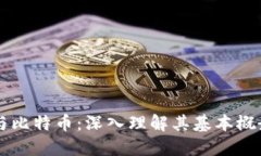 区块链与比特币：深入理解其基本概念与应用