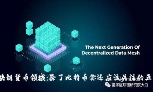 2023年区块链货币领域：除了比特币你还应该关注的五大数字资产