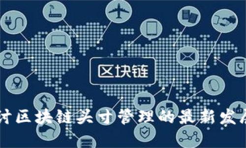 深入探讨区块链头寸管理的最新发展与应用