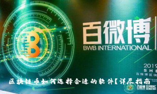 区块链币如何选择合适的软件？详尽指南