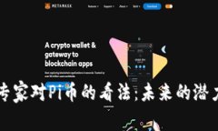 区块链专家对Pi币的看法：未来的潜力与挑战