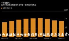 国内区块链币的全面指南：市场现状与未来前景