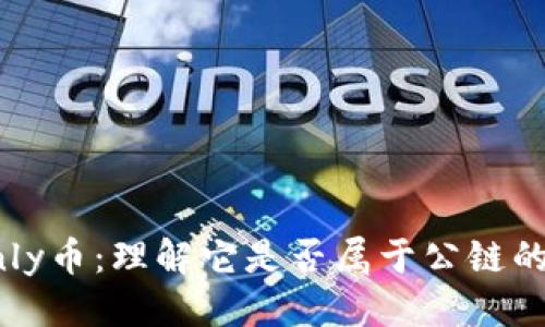 思考的

区块链Only币：理解它是否属于公链的深度解析
