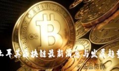 土耳其区块链最新消息与发展趋势
