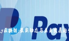 Binpay区块链：最新动态与未来发展趋势分析