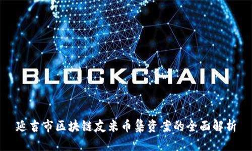 延吉市区块链友米币集资案的全面解析