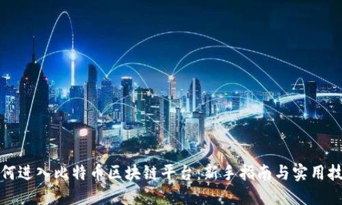 如何进入比特币区块链平台：新手指南与实用技巧