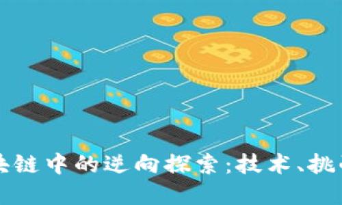 比特币在区块链中的逆向探索：技术、挑战与未来发展
