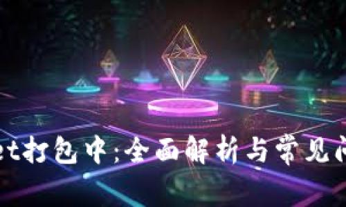 tpWallet打包中：全面解析与常见问题解答