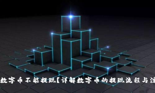 区块链数字币不能提现？详解数字币的提现流程与注意事项