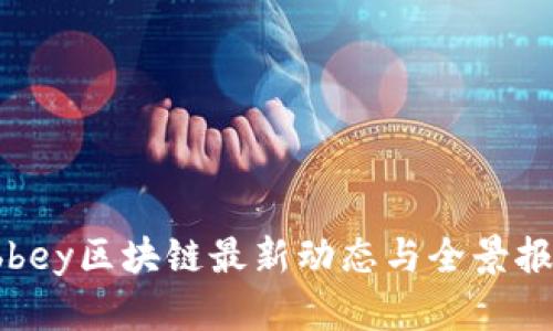 Abbey区块链最新动态与全景报道