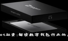  tpWallet融资：解密数字钱包行业的未来之路