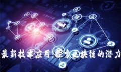 互联网最新技术应用：探索区块链的潜力与未来