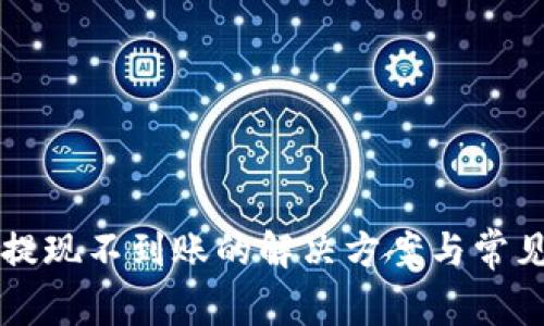 tpWallet提现不到账的解决方案与常见问题解析