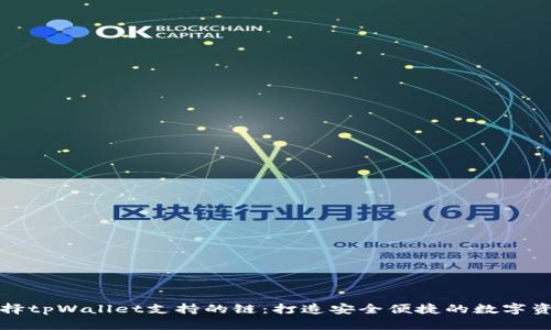 如何选择tpWallet支持的链：打造安全便捷的数字资产管理