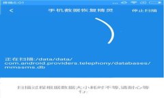 如何选择tpWallet支持的链：打造安全便捷的数字资