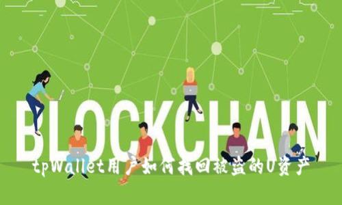 tpWallet用户如何找回被盗的U资产