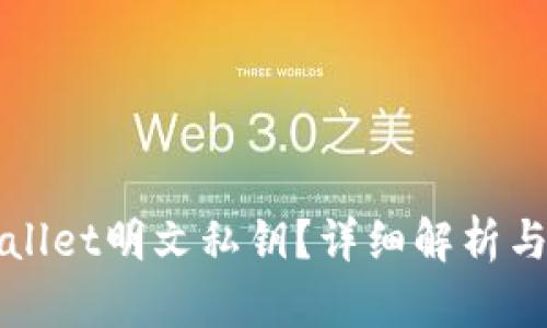 什么是tpWallet明文私钥？详细解析与安全性考虑