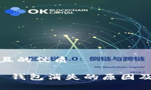 思考一个且的优质

tpWallet 钱包消失的原因及解决方案