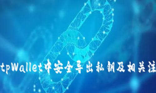 如何在tpWallet中安全导出私钥及相关注意事项
