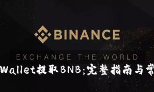 如何使用TPWallet提取BNB：完整指南与常见问题解答