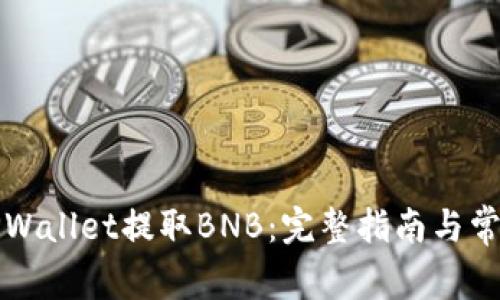 如何使用TPWallet提取BNB：完整指南与常见问题解答
