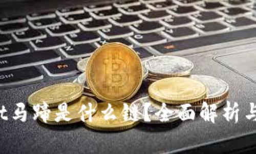  tpWallet马蹄是什么链？全面解析与应用前景