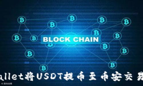  
如何使用tpWallet将USDT提币至币安交易所的详细指南