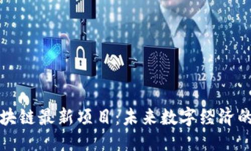 标准  
陕西区块链最新项目：未来数字经济的领航者