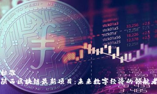 标准  
陕西区块链最新项目：未来数字经济的领航者