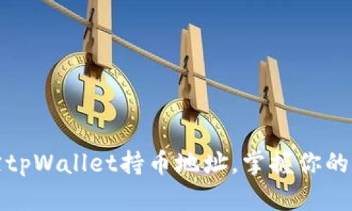 如何高效追踪tpWallet持币地址,掌握你的数字资产安全