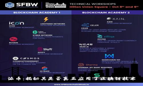 派币：揭秘其是否真正应用了区块链技术