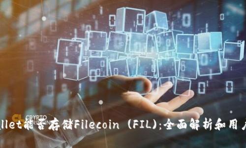 tpWallet能否存储Filecoin (FIL):全面解析和用户指南