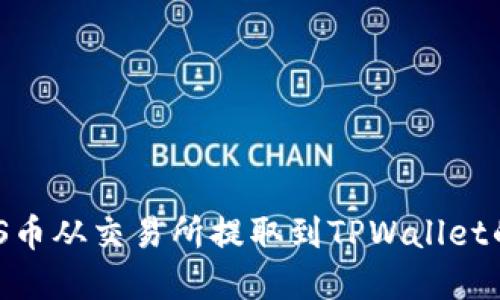 如何将ZKS币从交易所提取到TPWallet的完整指南
