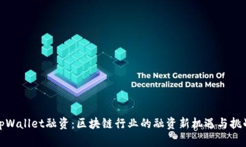 tpWallet融资:区块链行业的融资新机遇与挑战