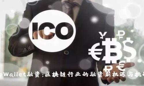 tpWallet融资:区块链行业的融资新机遇与挑战