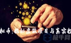 区块链虚拟币：揭秘虚假项目与真实投资的界限