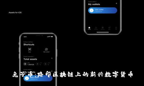 兔子币:路印区块链上的新兴数字货币
