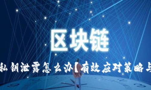 tpWallet私钥泄露怎么办？有效应对策略与风险管控